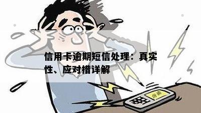 新关于信用卡逾期处理服务的真实性及常见疑问解答