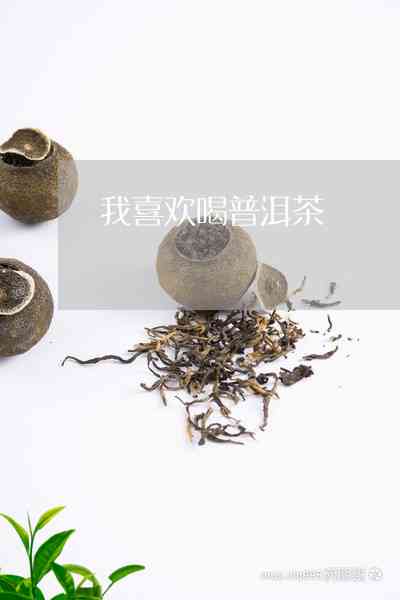 喜哥说普洱茶是真的吗