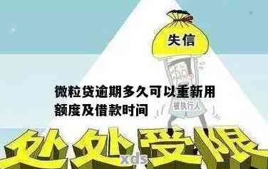 微粒贷逾期一天后，额度何时能够重新使用并恢复到正常水平？