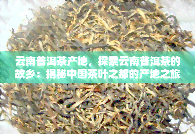 云南纯生态普洱茶产地