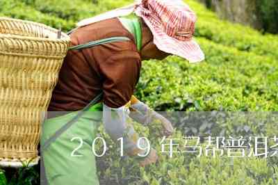 马县普洱茶产地、价格表与厂址，探索临沧马普洱茶的魅力