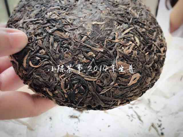 黄草林陈家茶地普洱茶：古树茶价格与口感一览