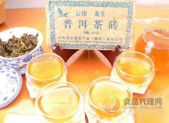 云南龙生普洱茶513生态茶：品种、产地、制作工艺、口感及购买指南一应俱全