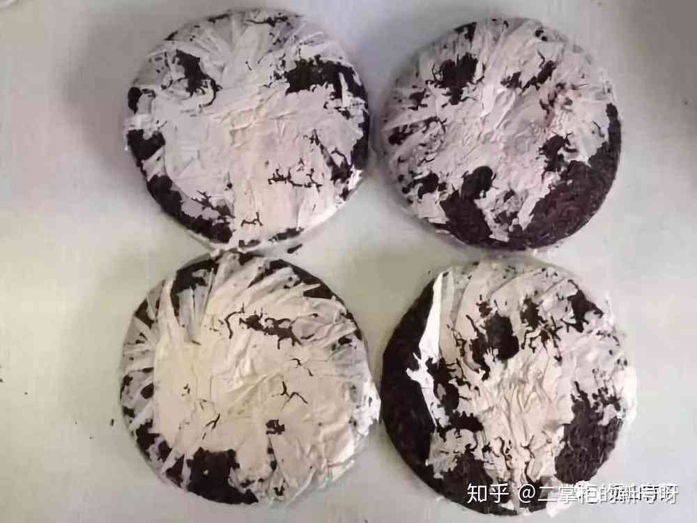 普洱茶饼中发现纸虫，是否影响其品质与饮用安全性？