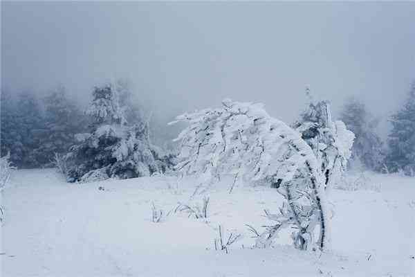 揭秘暴风雪：一场自然现象中的翡翠之谜