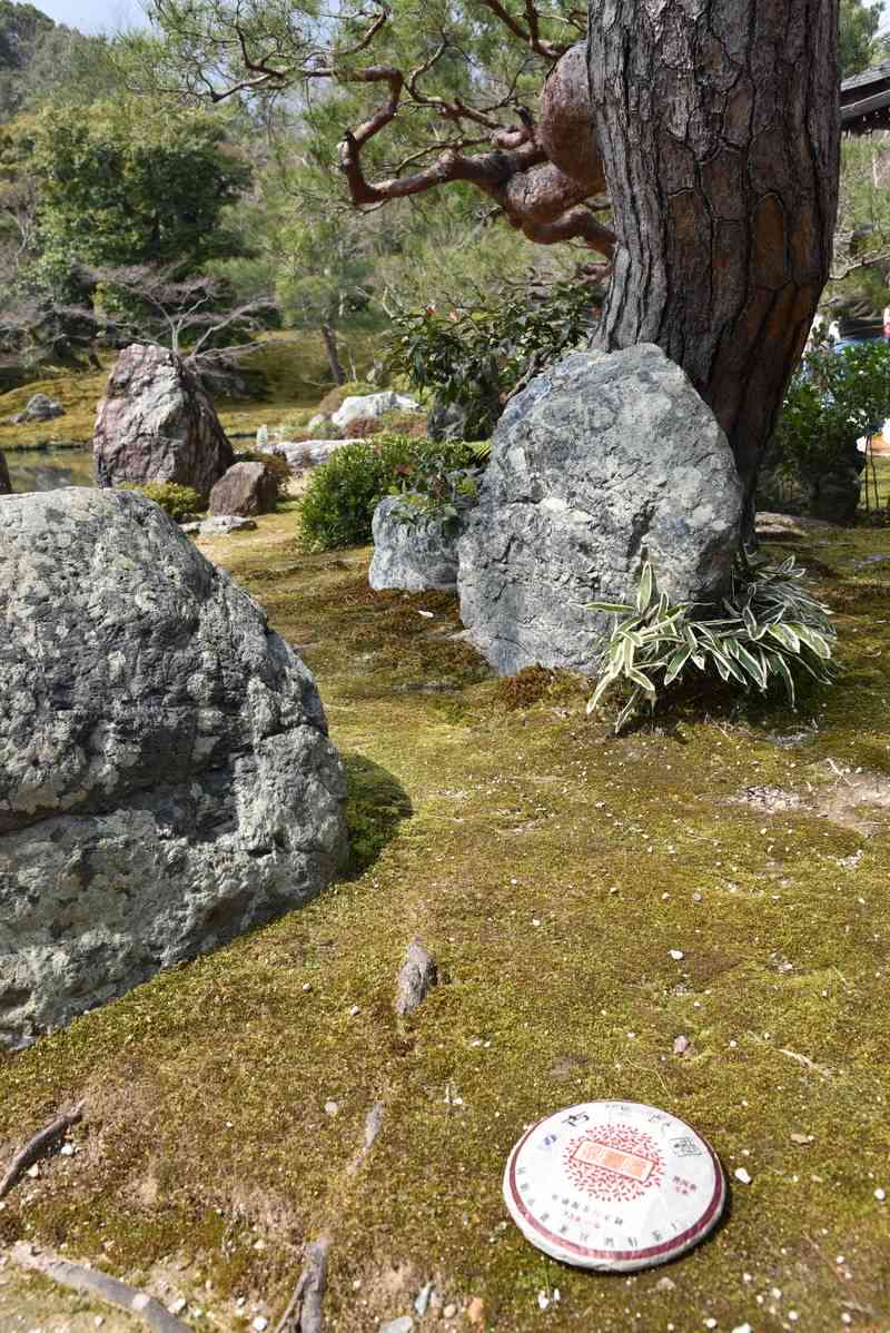 木鳳琳龙古树普洱茶：源自千年古树，绽放独特风味