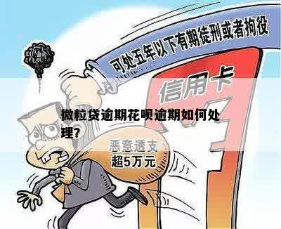 花呗逾期还款指南：账户停用、微粒贷存在，如何处理？