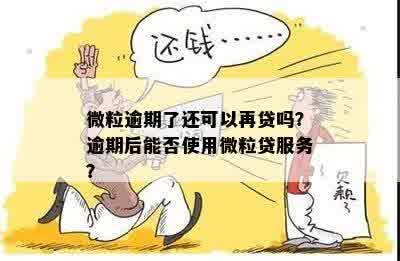 花呗逾期还款指南：账户停用、微粒贷存在，如何处理？