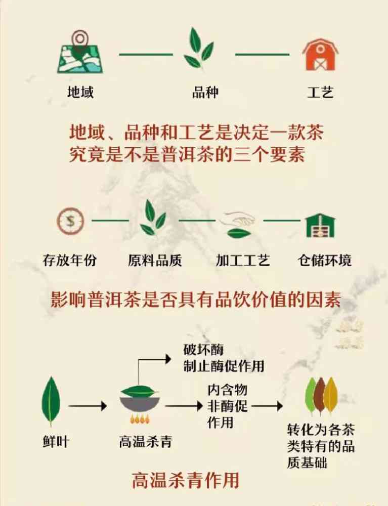 春光牌茶叶：品种、产地、制作工艺与品饮技巧全方位解析，助您成为茶叶专家