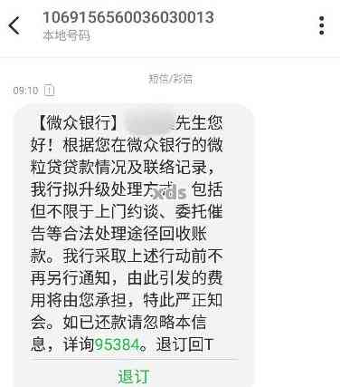 微粒贷逾期还款两万元后果分析：如何避免逾期、处理方式及可能影响