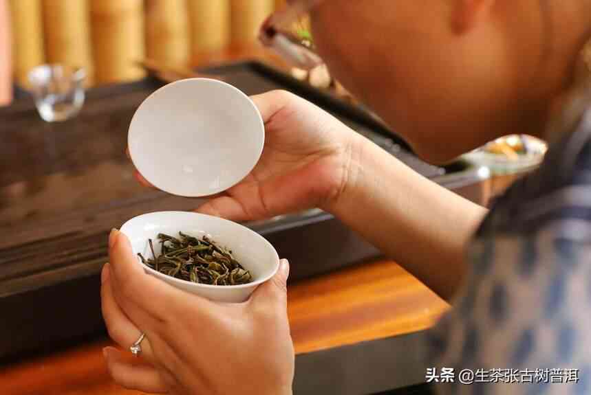 普洱茶：为何难喝？原因探究与品鉴技巧解析