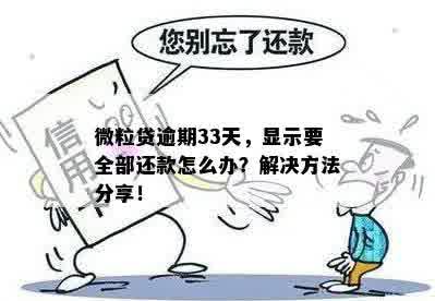 '微粒贷逾期还款成功或失败后怎么办？'