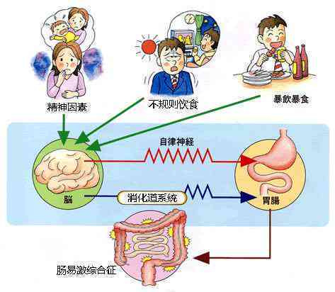 普洱茶的健益处：如何通过肠道作用达到助消化的效果