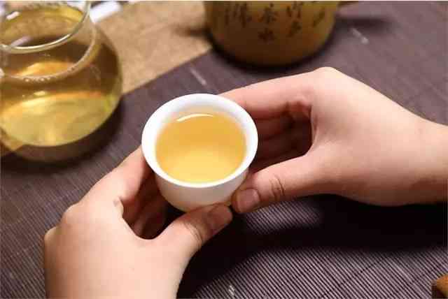      普洱茶：品种、产地、制作工艺、功效与饮用方法的全面解析