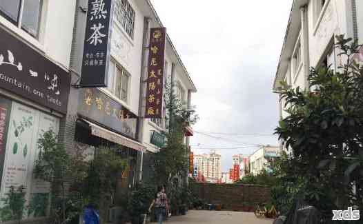 西双版纳勐海县茶叶交易市场探秘：一期茶叶交易中心的中国普洱茶宴