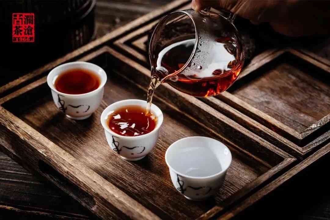 广州普洱茶十大高端：探寻品质上乘的知名茶品