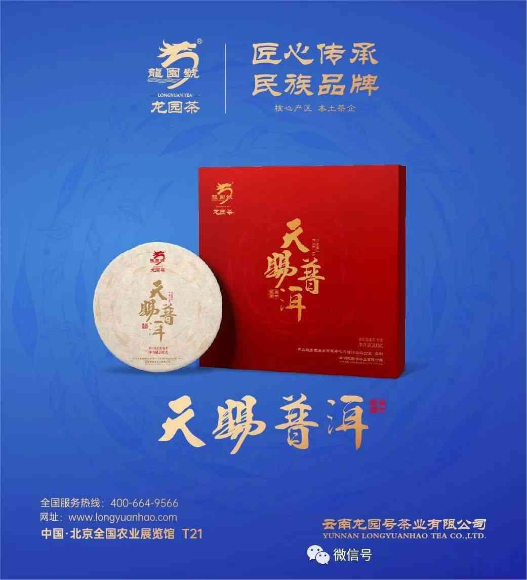 天宏茶业：传承古法，品味普洱天醇之美