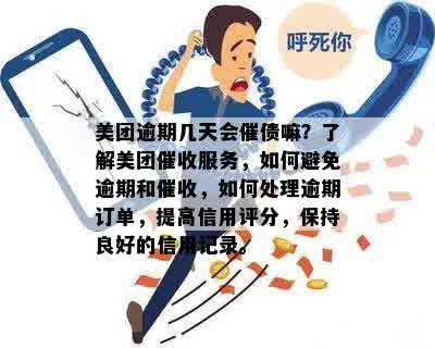 新美团逾期问题频发，如何应对天天短信？处理步骤全解析！