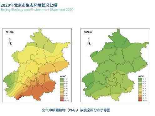 云燕生态普洱茶全系列价格一览表：品质、年份、规格详细解析