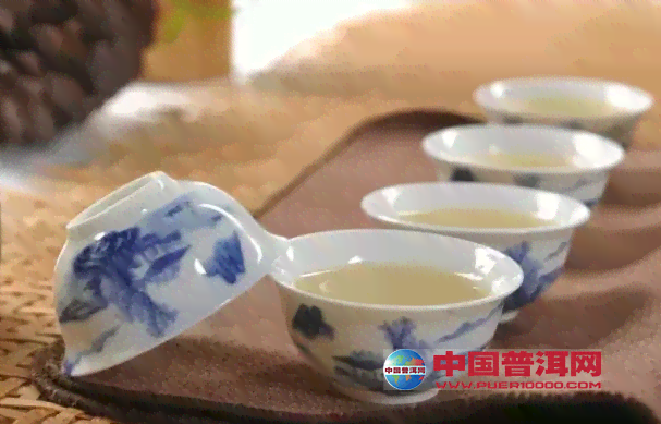 深入解析：普洱茶品鉴与冲泡的精准策略