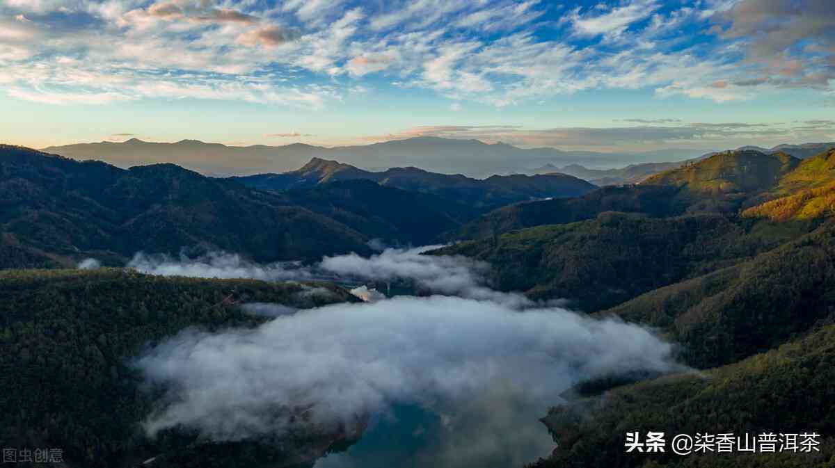 普洱茶的热量、营养成分以及健功效详解