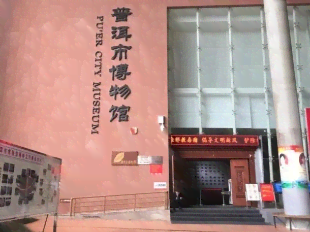 高清展示：普洱茶样品大全，深入了解普洱茶陈列图片