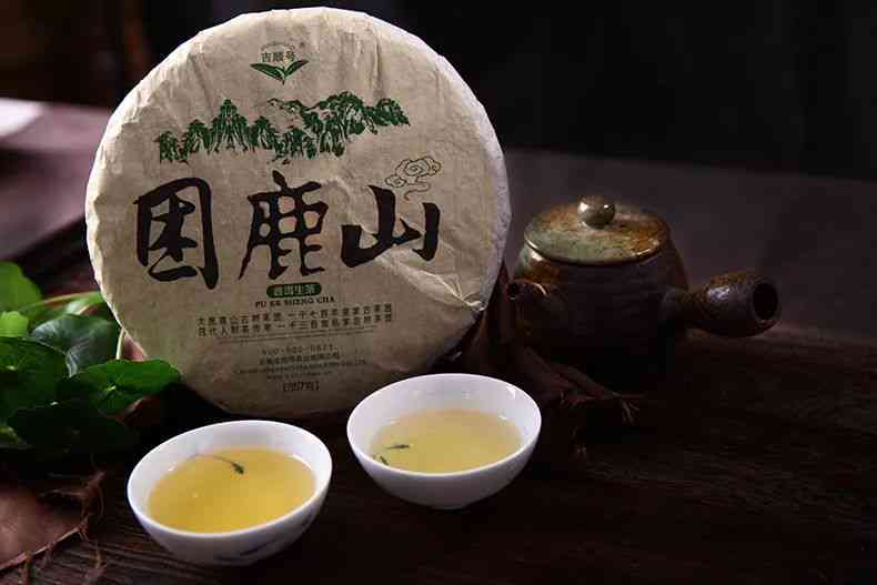 全方位解析：德润祥普洱茶的品质、口感、功效与泡法，助你选购优质好茶