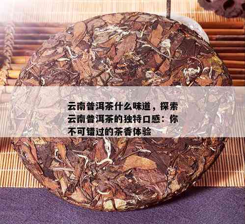 国普普洱茶：云南特色茶叶的品质与口感探索