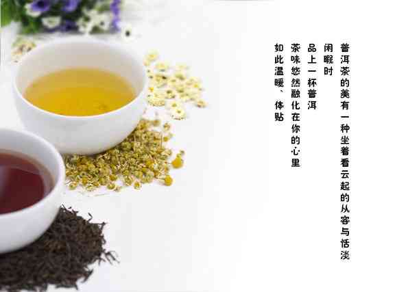 国普普洱茶：云南特色茶叶的品质与口感探索