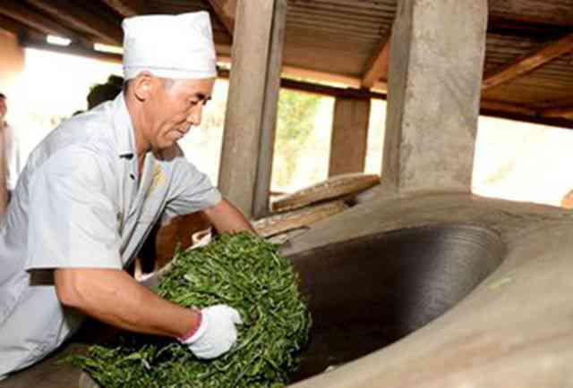 越南普洱茶山头茶价格