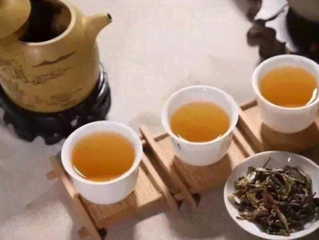 和普洱茶合个影