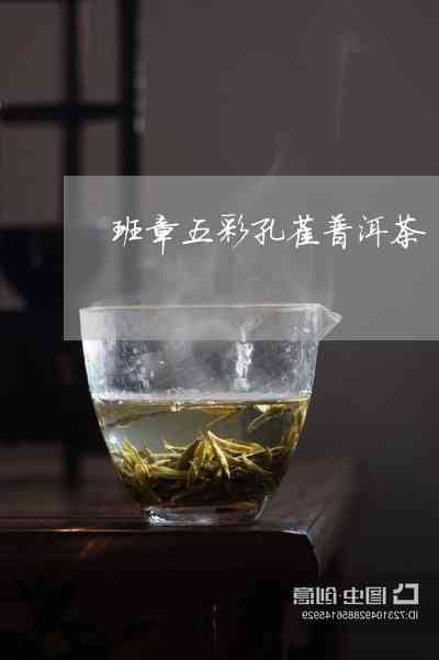 印普洱茶价格查询：97水与生茶最新价位