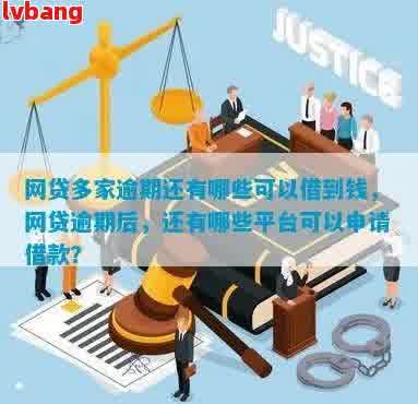 网贷逾期后，哪些平台仍然提供贷款服务？探索您的可选解决方案