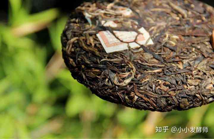 普洱茶：小块与大块的选择之道，哪种更适合您？