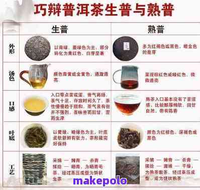 普洱生茶纯料与拼配：全面解析茶叶制作工艺及口感对比