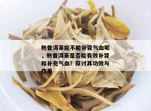 普洱茶补肾气还是肾气