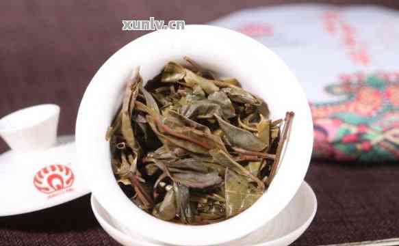 金枝玉叶与普洱茶：探索玉叶茶的独特魅力和品种分类