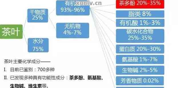 普洱茶成分分析：脂肪含量与热量的全面探究