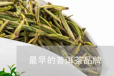 云南永德普洱茶价格表：云南省永德茶厂最新发布普洱茶信息