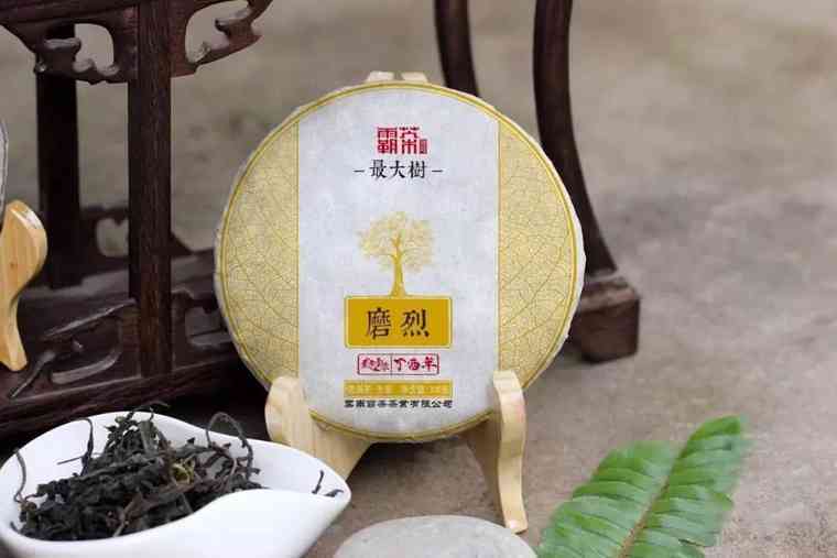 古树普洱盒装价格与礼盒选购：一款优质茶叶的完美包装体验