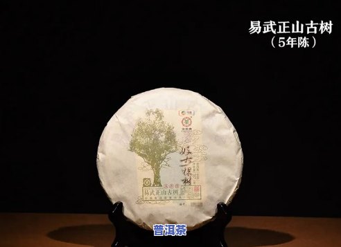 几棵树普洱茶饼好：品质与价格全解析，一棵树的魅力在哪里？