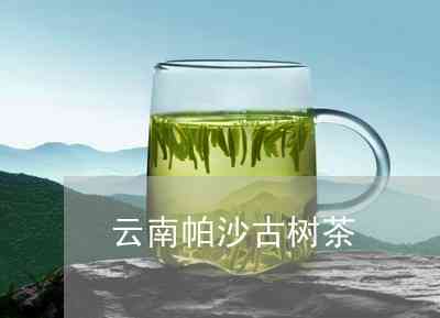 云南帕沙茶厂直供：精选古树普洱茶，特色批发价格优中