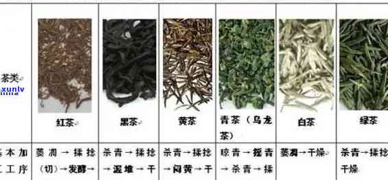 降茶是什么茶：茶叶种类，制作原料，茶种详解