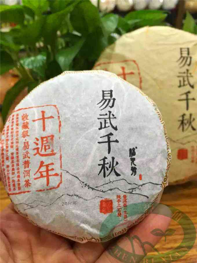 易武千年普洱茶