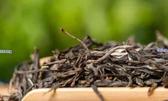 普洱茶芽苞十年：一不凋的传奇，探索保存与陈化的秘密