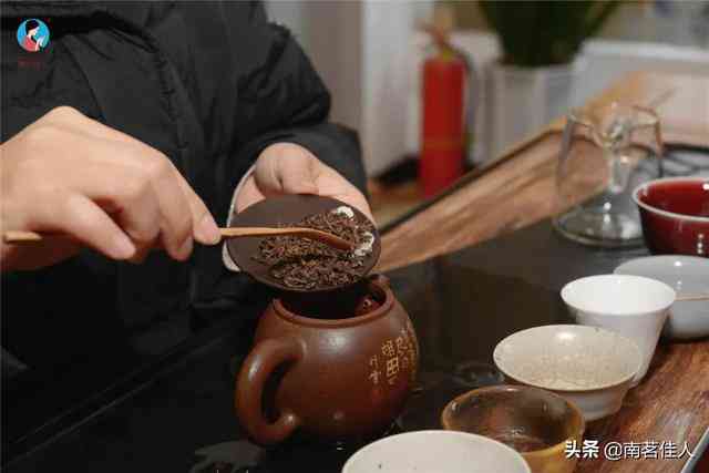 掌握普洱茶冲泡技巧：如何正确泡制美味熟茶