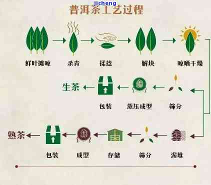 普洱熟茶的制作工艺及原料茶分级解析：了解不同级别茶叶的特点与品质