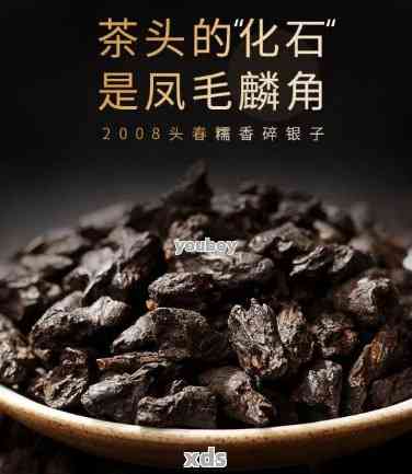 普洱茶朝颜茶化石：品质、制作工艺与功效的全面解析