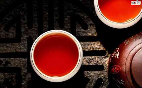 大益普洱茶：生茶与熟茶的选择之道