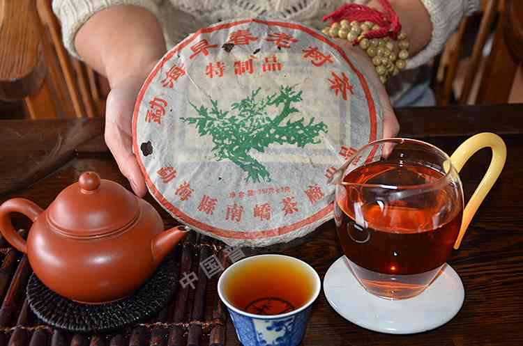 勐海县南峤茶业出品早春老树茶价格及厂网站信息